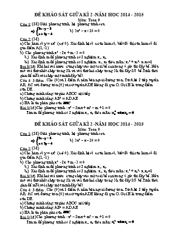 Đề khảo sát giữa kì 2 môn Toán Lớp 9 - Năm học 2014-2015