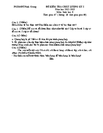 Đề kiểm tra chất lượng kỳ I môn Sinh học Lớp 6 - Năm học 2012-2013 - Phòng GD&ĐT Ninh Giang