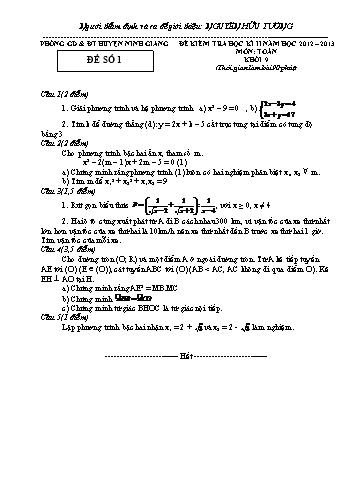 Đề kiểm tra học kì II môn Toán Lớp 9 - Năm học 2012-2013 - Nguyễn Hữu Tường