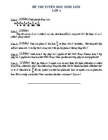Đề thi tuyển học sinh giỏi môn Toán Lớp 4 (Kèm hướng dẫn chấm)