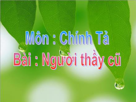 Bài giảng Chính tả Lớp 2 - Bài: Người thầy cũ