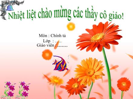 Bài giảng Chính tả Lớp 4 - Bài: Nếu chúng mình có phép lạ - Năm học 2011-2012