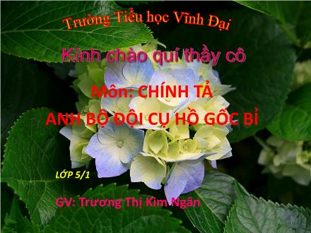 Bài giảng Chính tả Lớp 5 - Bài: Anh bộ đội cụ hồ gốc Bỉ - Trương Thị Kim Ngân Bài giảng Chính tả Lớp 5 - Bài: Anh bộ đội cụ hồ gốc Bỉ - Trương Thị Kim Ngân