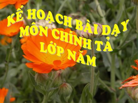 Bài giảng Chính tả Lớp 5 - Bài: Nhà yêu nước Nguyễn Trung Trực Bài giảng Chính tả Lớp 5 - Bài: Nhà yêu nước Nguyễn Trung Trực
