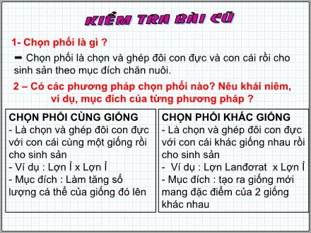 Bài giảng Công nghệ Lớp 7 - Bài 35: Thực hành: Nhận biết và chọn một số giống gà qua quan sát ngoại hình Bài giảng Công nghệ Lớp 7 - Bài 35: Thực hành: Nhận biết và chọn một số giống gà qua quan sát ngoại hình