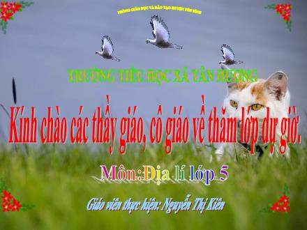 Bài giảng Địa lí Lớp 5 - Bài: Dân cư và hoạt động kinh tế tỉnh Yên Bái - Nguyễn Thị Kiên - Năm học 2011-2012