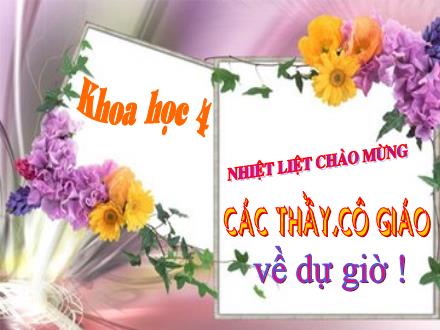 Bài giảng Khoa học Khối 4 - Bài 29: Tiết kiệm nước