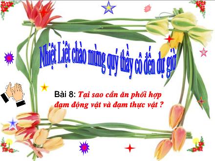 Bài giảng Khoa học Khối 4 - Bài 8: Tại sao cần ăn phối hợp đạm động vật và đạm thực vật?