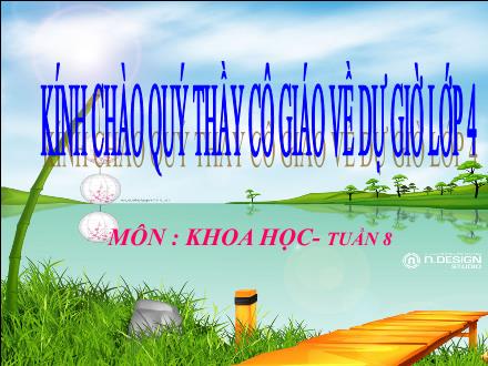 Bài giảng Khoa học Khối 4 - Bài: Ăn uống khi bị bệnh