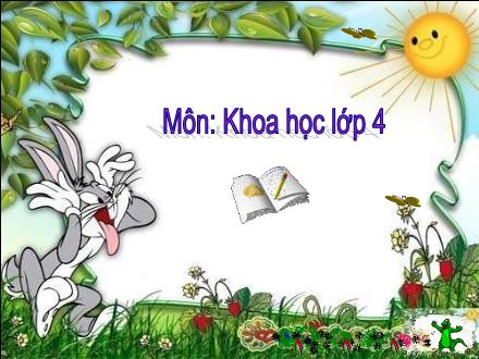 Bài giảng Khoa học Khối 4 - Bài: Các chất dinh dưỡng có trong thức ăn. Vai trò của chất bột đường