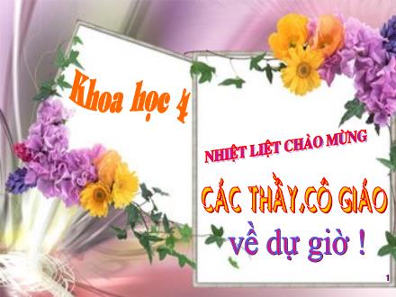 Bài giảng Khoa học Khối 4 - Bài: Không khí có những tính chất gì?