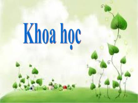 Bài giảng Khoa học Khối 4 - Bài: Làm thế nào để biết có không khí? - Năm học 2014-2015