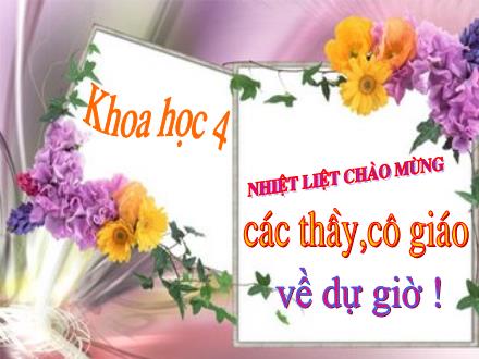 Bài giảng Khoa học Khối 4 - Bài: Tiết kiệm nước