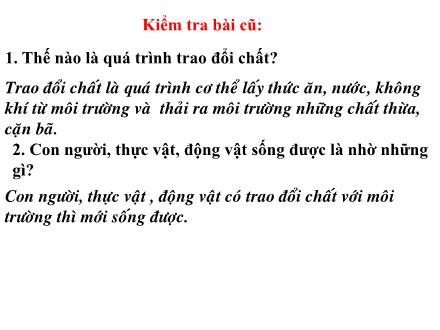 Bài giảng Khoa học Khối 4 - Bài: Trao đổi chất ở người (Tiếp theo)