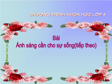 Bài giảng Khoa học Lớp 4 - Bài 47: Ánh sáng cần cho sự sống (Tiếp theo)