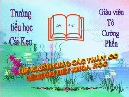 Bài giảng Khoa học Lớp 4 - Bài 47: Ánh sáng cần cho sự sống - Trường Tiểu học Cái Keo - Năm học 2011-2012