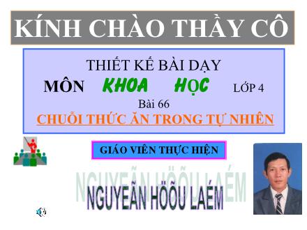 Bài giảng Khoa học Lớp 4 - Bài 66: Chuỗi thức ăn trong tự nhiên