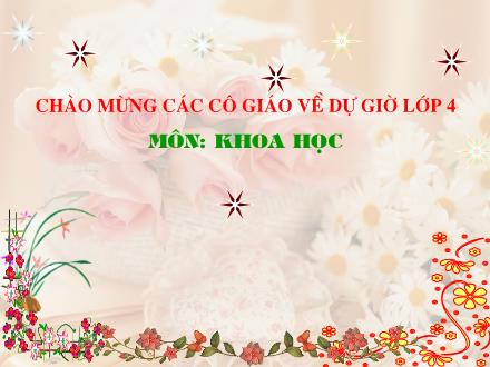 Bài giảng Khoa học Lớp 4 - Bài: Ăn nhiều rau và quả chín