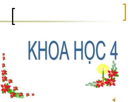 Bài giảng Khoa học Lớp 4 - Bài: Ăn uống khi bị bệnh