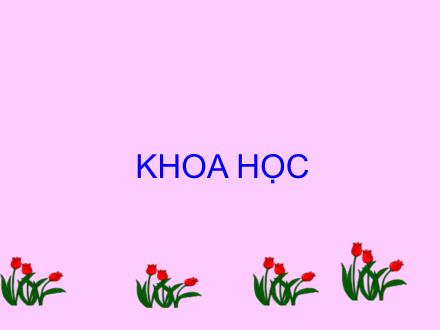 Bài giảng Khoa học Lớp 4 - Bài: Bảo vệ bầu không khí trong sạch