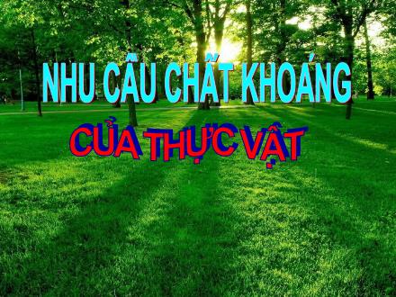 Bài giảng Khoa học Lớp 4 - Bài: Nhu cầu chất khoáng của thực vật