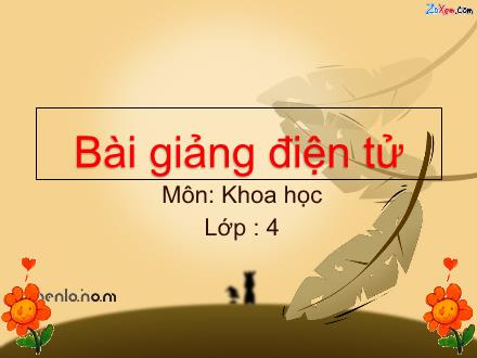 Bài giảng Khoa học Lớp 4 - Bài: Nóng, lạnh và nhiệt độ (Tiết 2)