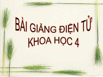 Bài giảng Khoa học Lớp 4 - Bài: Nước cần cho sự sống