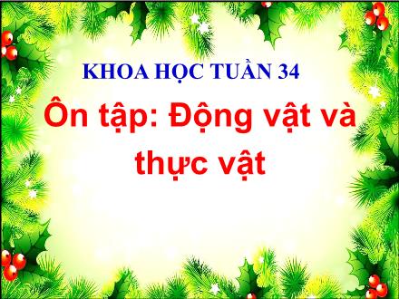 Bài giảng Khoa học Lớp 4 - Bài: Ôn tập: Động vật và thực vật