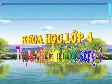 Bài giảng Khoa học Lớp 4 - Bài: Thực vật cần gì để sống ?