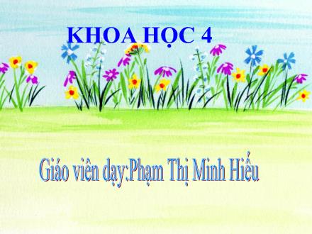 Bài giảng Khoa học Lớp 4 - Tiết 13: Phòng bệnh béo phì - Phạm Thị Minh Hiếu - Năm học 2012-2013