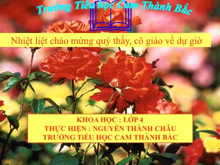 Bài giảng Khoa học Lớp 4 - Tiết 15: Bạn cảm thấy thế nào khi bị bệnh ? - Nguyễn Thành Châu - Năm học 2011-2012