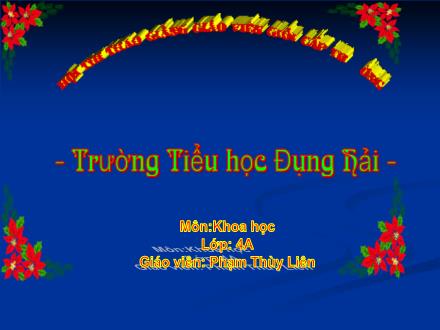 Bài giảng Khoa học Lớp 4 - Tiết 38: Gió nhẹ, gió mạnh. Phòng chống bão - Phạm Thùy Liên - Năm học 2010-2011