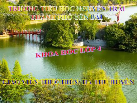 Bài giảng Khoa học Lớp 4 - Tiết 59: Nhu cầu chất khoáng của thực vật - Hà Thu Huyền - Năm học 2010-2011