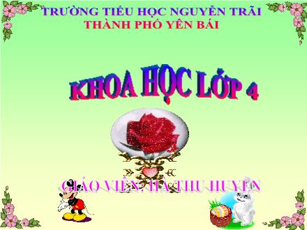 Bài giảng Khoa học Lớp 4 - Tiết 60: Nhu cầu không khí của thực vật - Hà Thu Huyền - Năm học 2010-2011