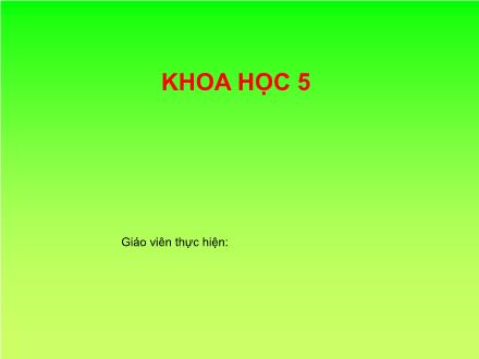 Bài giảng Khoa học Lớp 5 - Bài 18: Phòng tránh bị xâm hại - Năm học 2012-2013