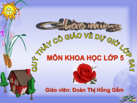 Bài giảng Khoa học Lớp 5 - Bài: Gốm xây dựng gạch ngói - Đoàn Thị Hồng Gấm