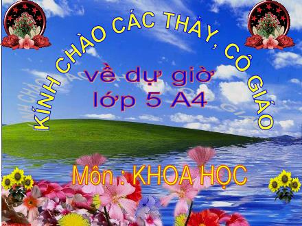 Bài giảng Khoa học Lớp 5 - Bài: Năng lượng mặt trời