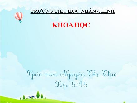 Bài giảng Khoa học Lớp 5 - Bài: Phòng tránh tai nạn giao thông - Nguyễn Thị Thư