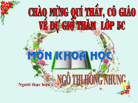Bài giảng Khoa học Lớp 5 - Tiết 13: Phòng bệnh sốt xuất huyết - Ngô Thị Hồng Nhung - Năm học 2011-2012