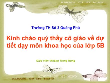 Bài giảng Khoa học Lớp 5 - Tiết 18: Phòng tránh bị xâm hại - Hoàng Trọng Hùng