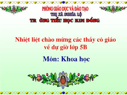 Bài giảng Khoa học Lớp 5 - Tiết 19: Thông tin về an toàn giao thông - Năm học 2011-2012
