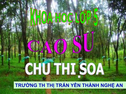 Bài giảng Khoa học Lớp 5 - Tiết 30: Cao su - Chu Thị Soa