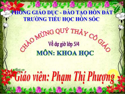 Bài giảng Khoa học Lớp 5 - Tiết 31: Chất dẻo - Phạm Thị Phượng - Năm học 2011-2012