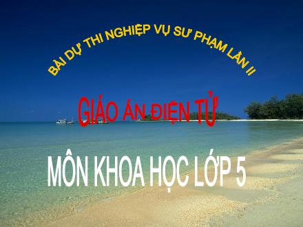 Bài giảng Khoa học Lớp 5 - Tiết 38: Sự biến đổi hóa học - Vũ Thu Hà