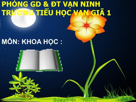 Bài giảng Khoa học Lớp 5 - Tiết 40: Năng lượng - Nguyễn Thị Ngân - Năm học 2012-2013