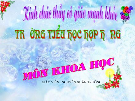 Bài giảng Khoa học Lớp 5 - Tiết 45: Sử dụng năng lượng điện - Nguyễn Xuân Trường - Năm học 2012-2013