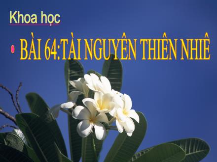 Bài giảng Khoa học Lớp 5 - Tiết 64: Tài nguyên thiên nhiên