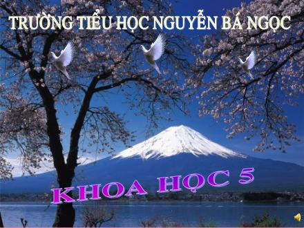 Bài giảng Khoa học Lớp 5 - Tiết 64: Vai trò của môi trường tự nhiên đối với đời sống con người - Năm học 2011-2012