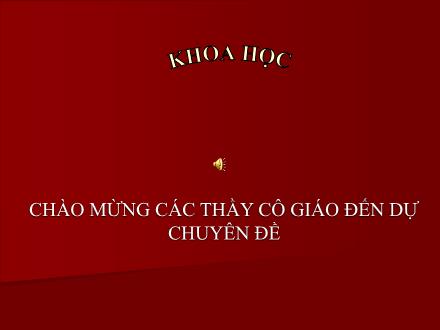 Bài giảng Khoa học Lớp 5 - Tiết 7: Từ tuổi vị thành niên cho đến tuổi già - Năm học 2011-2012