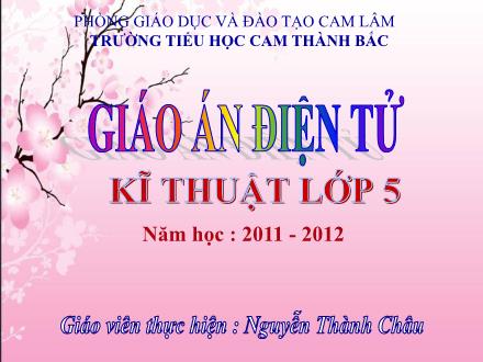 Bài giảng Kĩ thuật Lớp 5 - Bài: Nuôi dưỡng gà - Nguyễn Thành Châu - Năm học 2011-2012